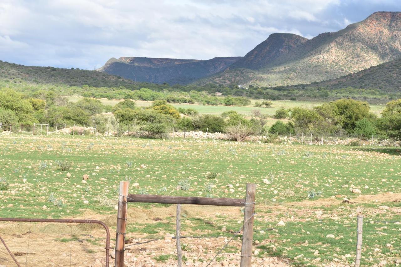 Baviaanskloof Guest Cottages Studtis Dış mekan fotoğraf